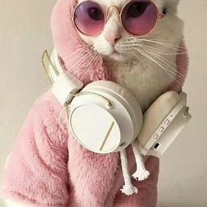 Meet your Posher, Michele